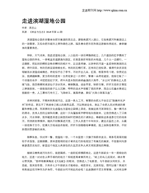 走进滨湖湿地公园