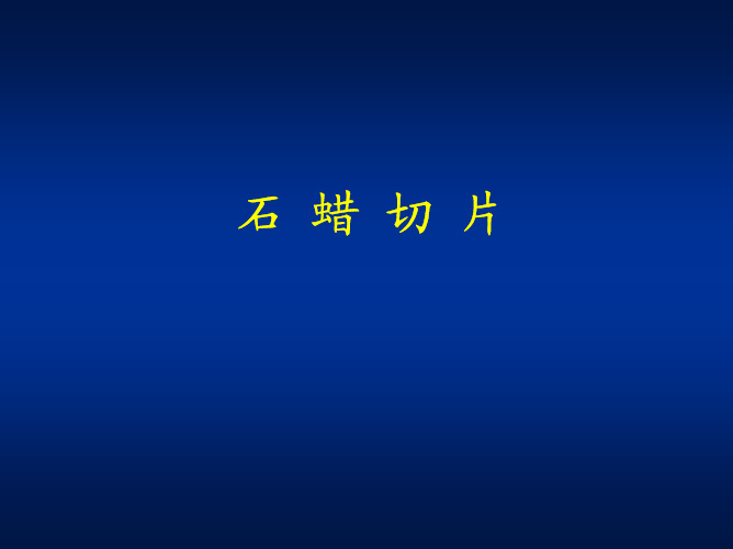 石蜡切片