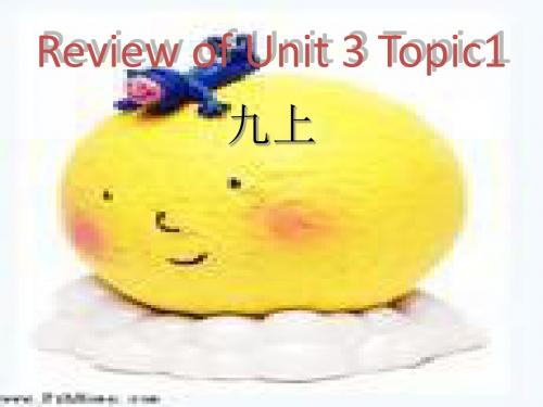 仁爱英语九年级上unit3topic1复习课件