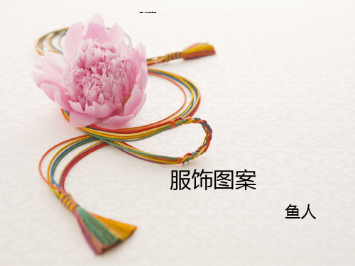 服饰图案设计说明.