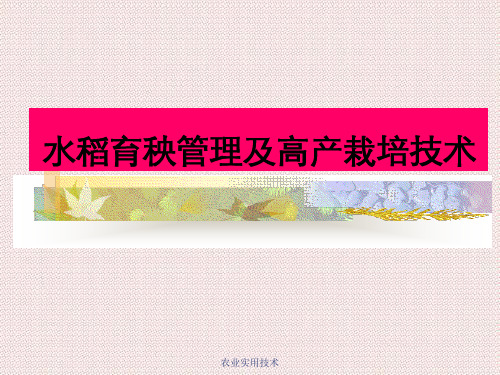 农业实用技术
