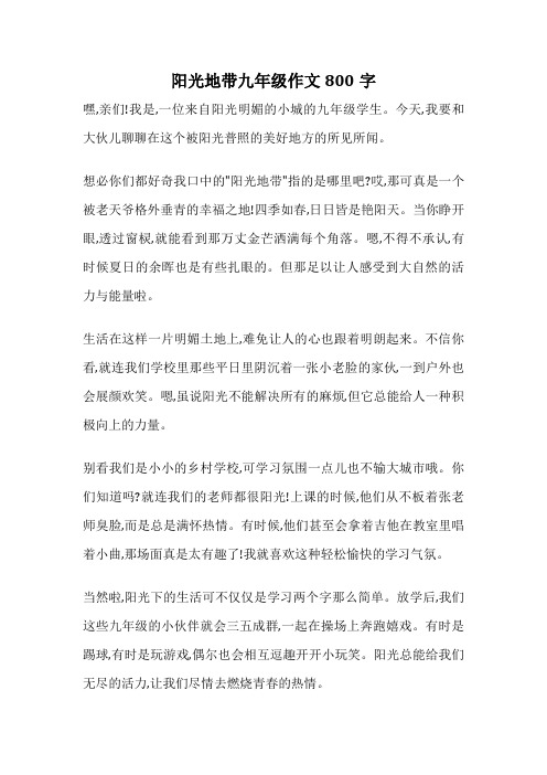 阳光地带九年级作文800字