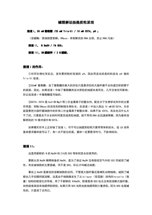 质粒提取总结