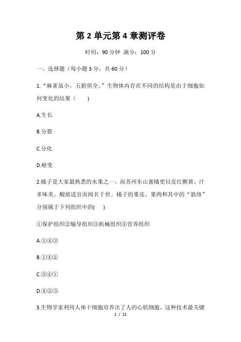 北师大版七年级上册生物 第2单元第4章生物体的结构层次测评卷(word版,含答案)