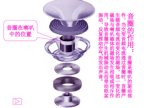 音圈知识