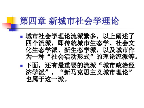 新城市社会学理论