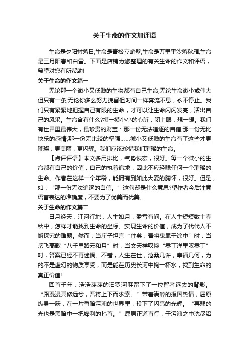 关于生命的作文加评语