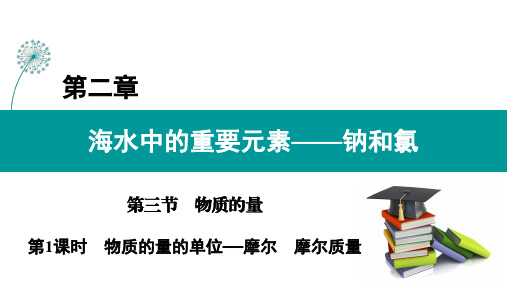 2022学年上学期高一化学人教版(2019)必修一第二章第三节课时1物质的量的单位——摩尔 摩尔质量