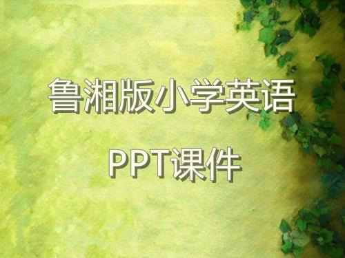鲁湘版小学英语精选Unit2第2课时教学ppt课件