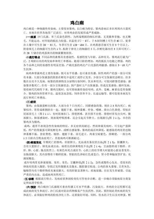 鸡白痢