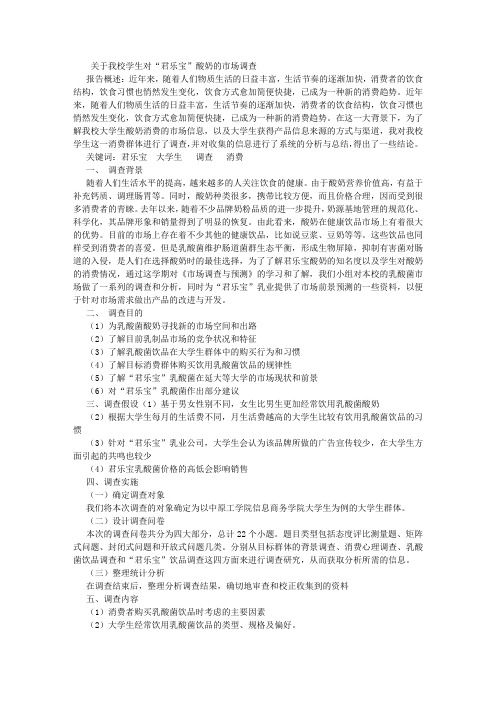 市场调查报告 (6000字)