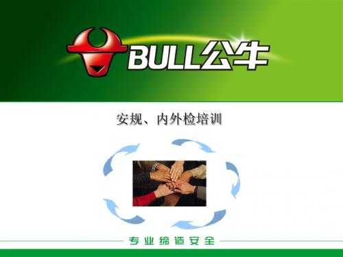 安规、内外检与测试培训[1].ppt