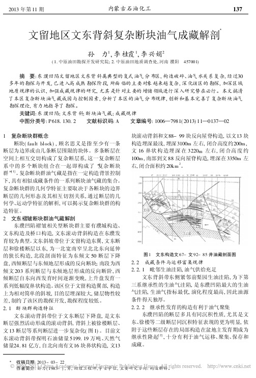 文留地区文东背斜复杂断块油气成藏解剖_孙力