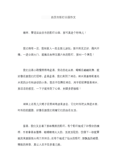 自贡市彩灯公园作文