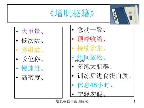 增肌秘籍韦德训练法培训课件