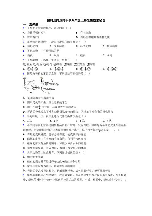 深圳龙岗龙岗中学八年级上册生物期末试卷