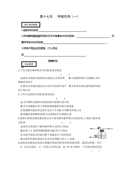 安徽省2016-2017学年高一生物寒假作业：第十七天 呼吸作用 Word版含答案