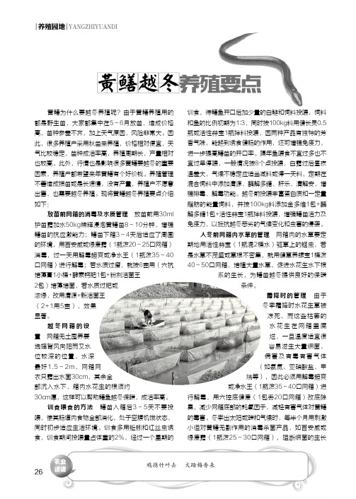 黄鳝越冬养殖要点