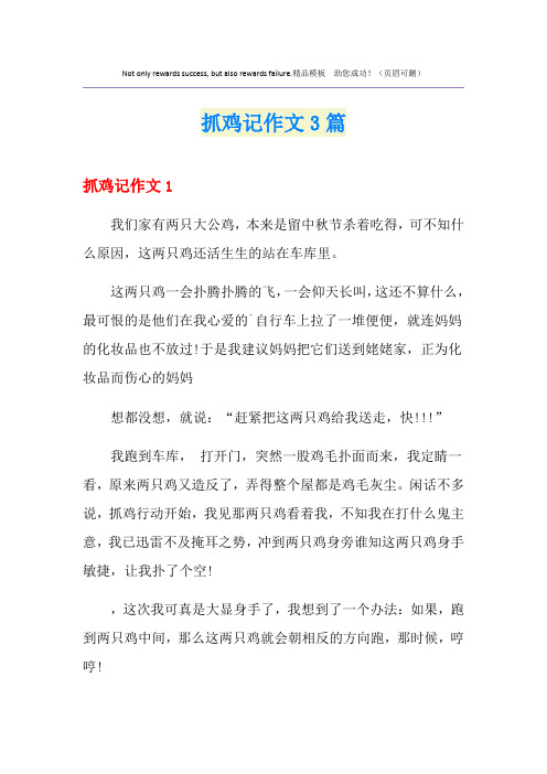 抓鸡记作文3篇