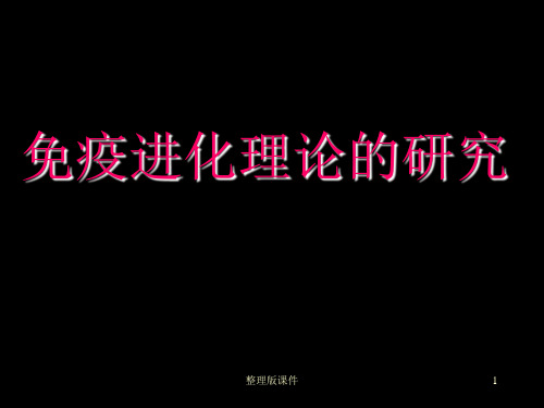 人工免疫算法ppt课件