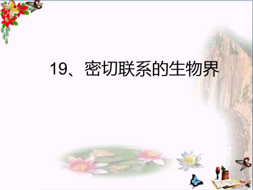 (精选)六年级科学上册密切联系的生物界ppt课件8青岛版