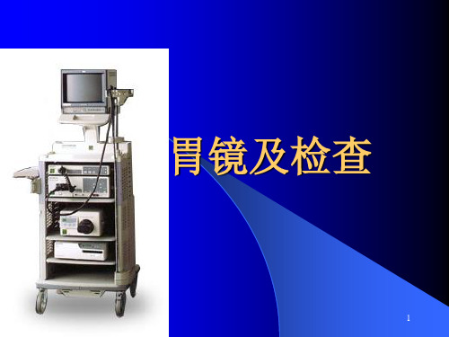 胃镜及检查PPT课件