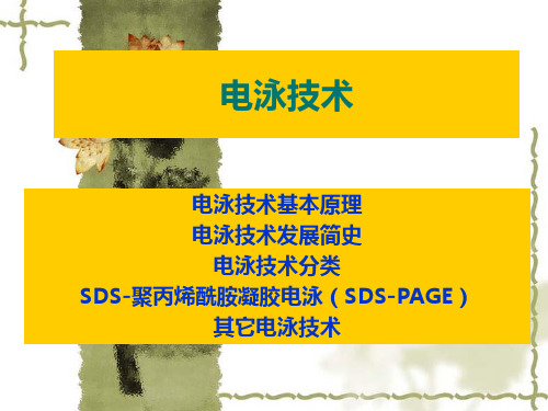 电泳技术