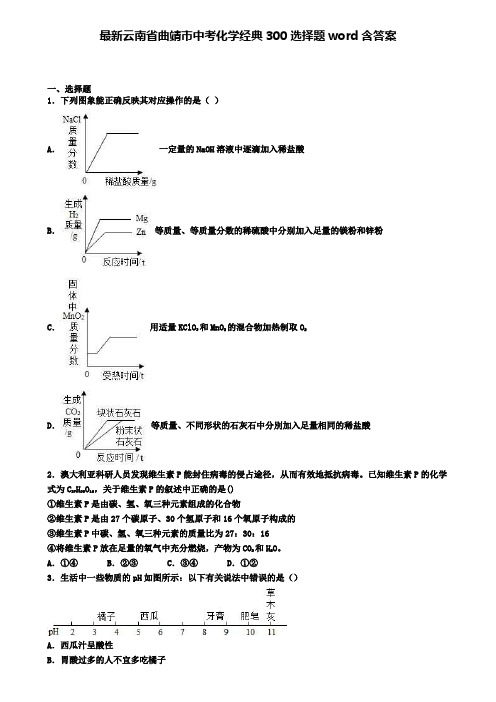 最新云南省曲靖市中考化学经典300选择题word含答案