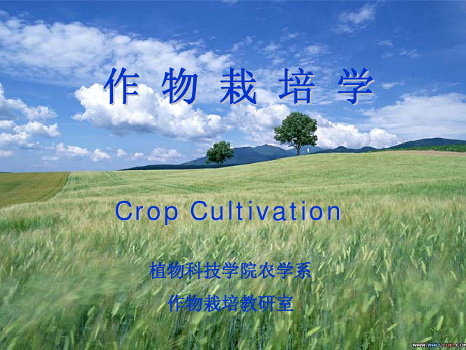 栽培学绪论