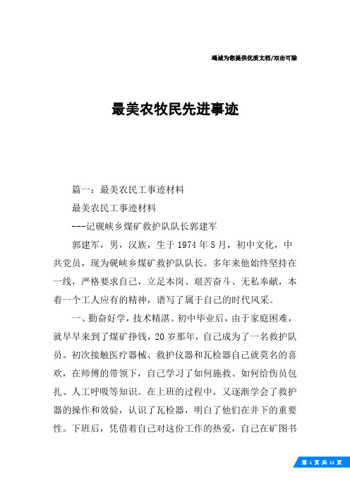 最美农牧民先进事迹