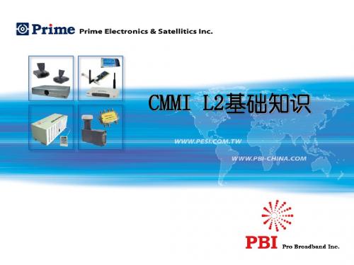 CMMI l2基础知识
