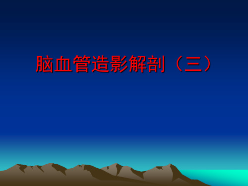 脑血管解剖(三)