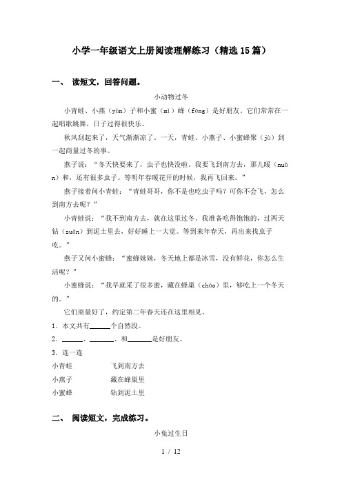 小学一年级语文上册阅读理解练习(精选15篇)