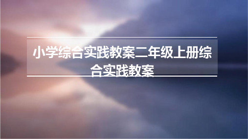 小学综合实践教案二年级上册综合实践教案