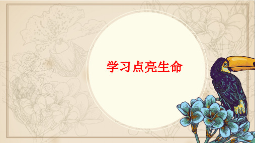 学习点亮生命