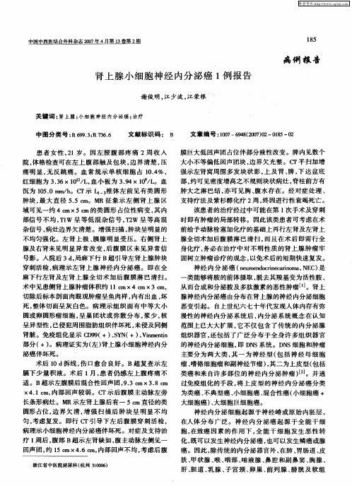 肾上腺小细胞神经内分泌癌1例报告