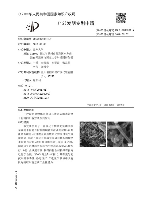 【CN110085881A】一种铁化合物填充氮磷共掺杂碳纳米管复合材料的制备方法及其应用【专利】