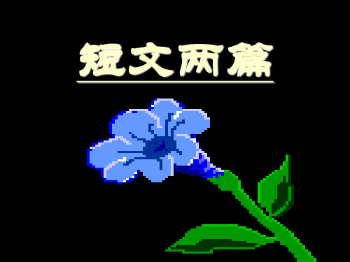 热爱生命语文课件PPT