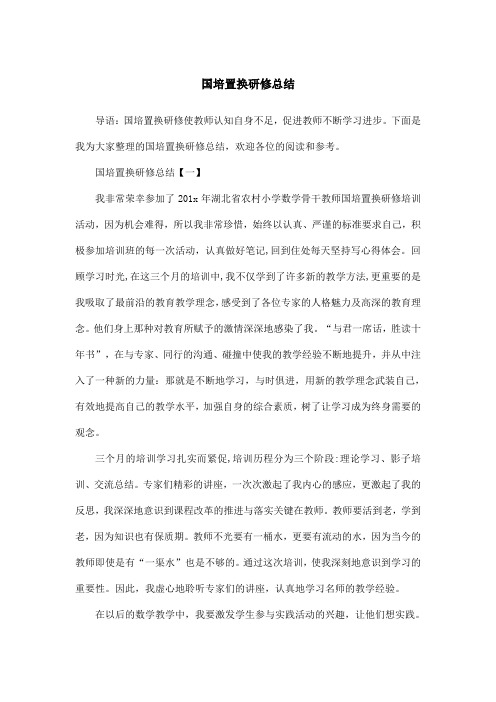 国培置换研修总结