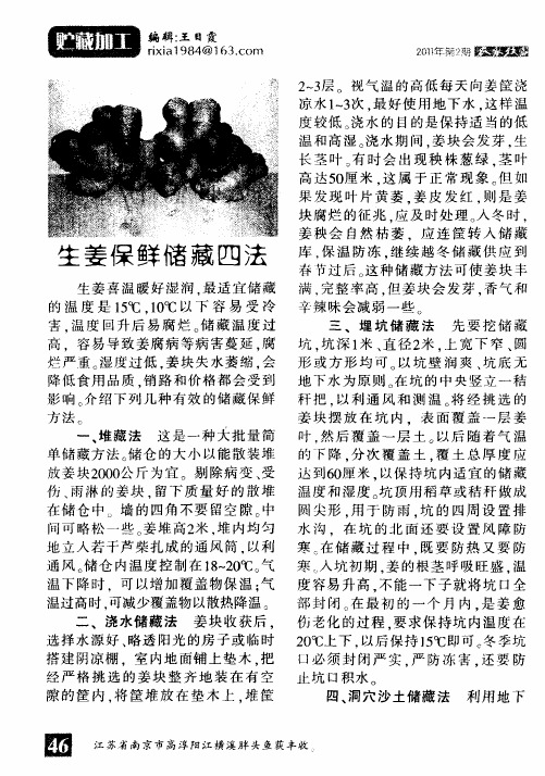 生姜保鲜储藏四法