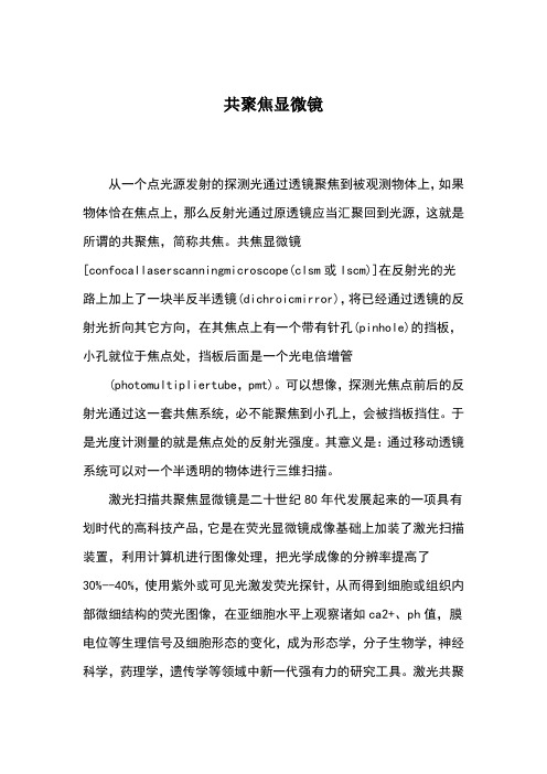 共聚焦显微镜