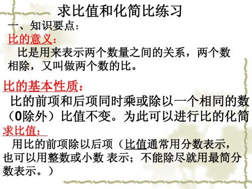 比、化简比、求比值练习
