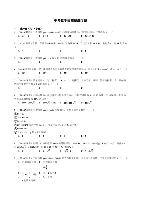 中考数学 拔高题练习题(完美版)