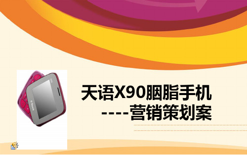 天语胭脂盒营销策划案