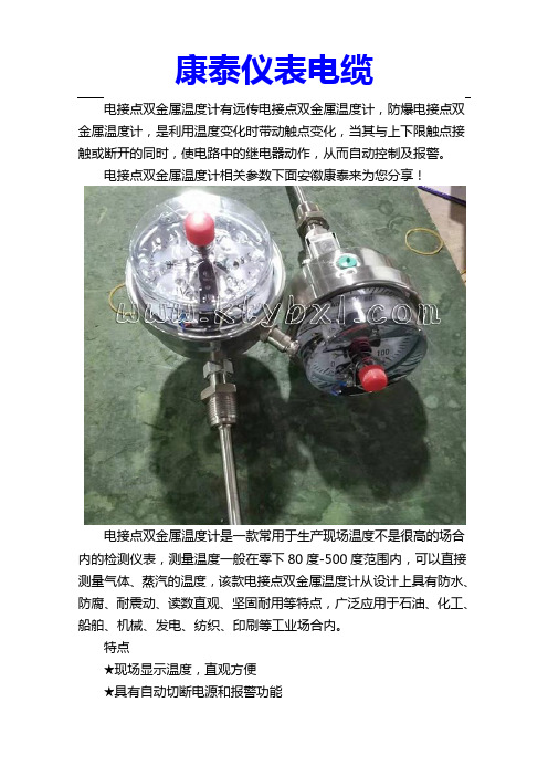 电接点双金属温度计