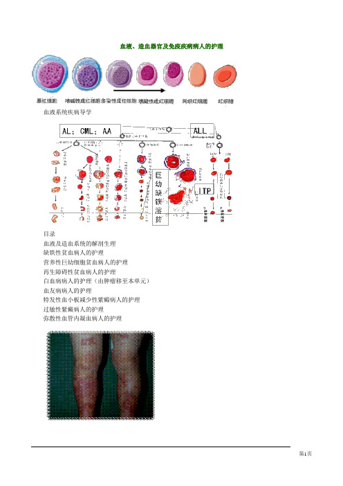 护士资格考试自学张老师精讲第十四章血液、造血器官及免疫疾病病人的护理
