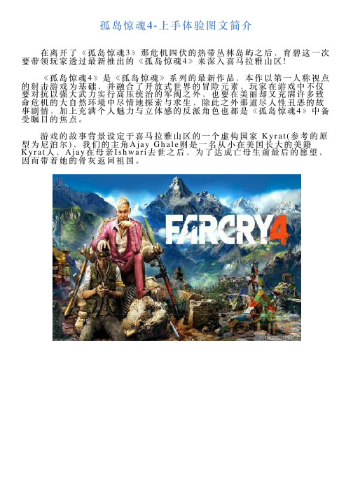 孤岛惊魂4上手体验图文简介