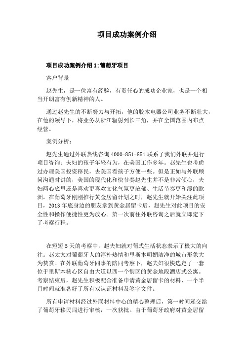项目成功案例介绍