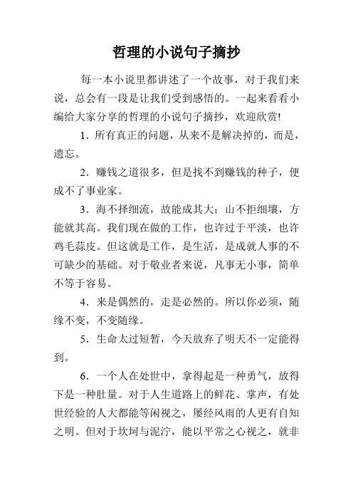 哲理的小说句子摘抄