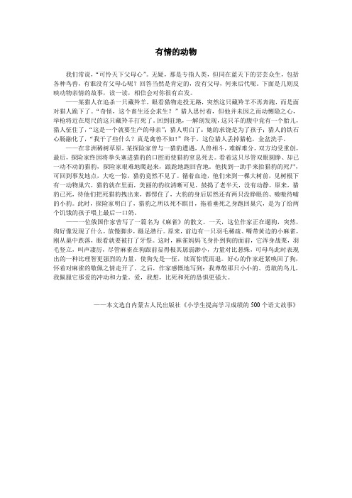 有情的动物